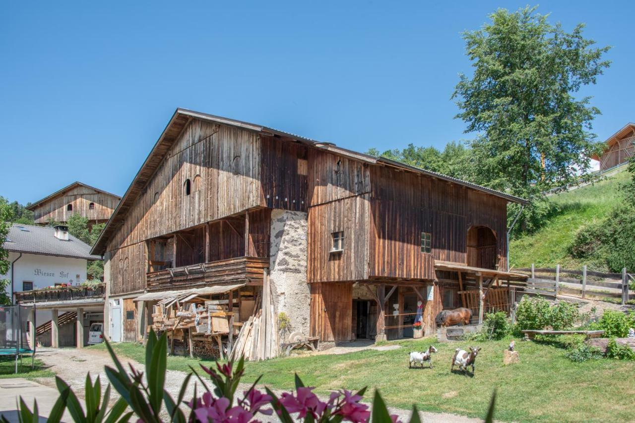 Ferienbauernhof Wieserhof Fie allo Sciliar Exterior photo